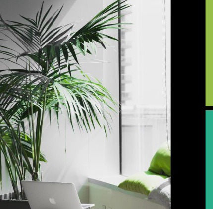 A calm workspace with a laptop and indoor plant, symbolising thoughtful financial planning
